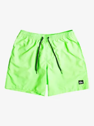 Quiksilver Mens Everyday 17" Volley Shorts